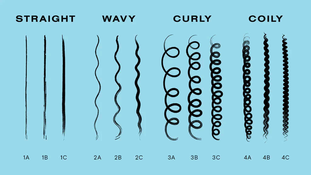 Hair type chart showing straight (Type 1), wavy (Type 2), curly (Type 3), and coily (Type 4) hair patterns with subtypes from 1A to 4C.